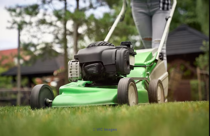 Outdoor Space with Professional Landscaping Services in Mississauga