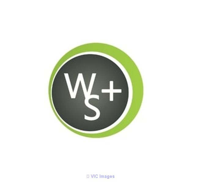 Boost Your Online Presence with Web Strategy Plus