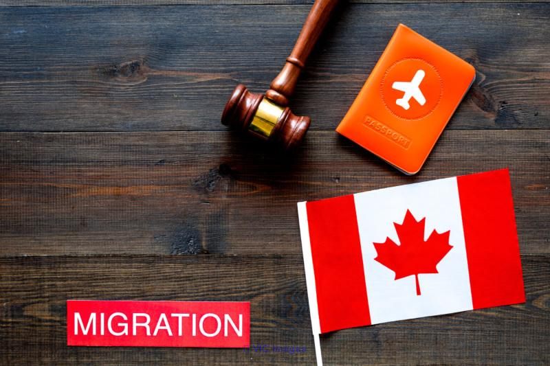 Elevate Your Path to Canada: Your Trusted Immigration Consultancy