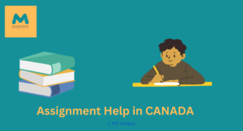 Online assignment help services in Canada