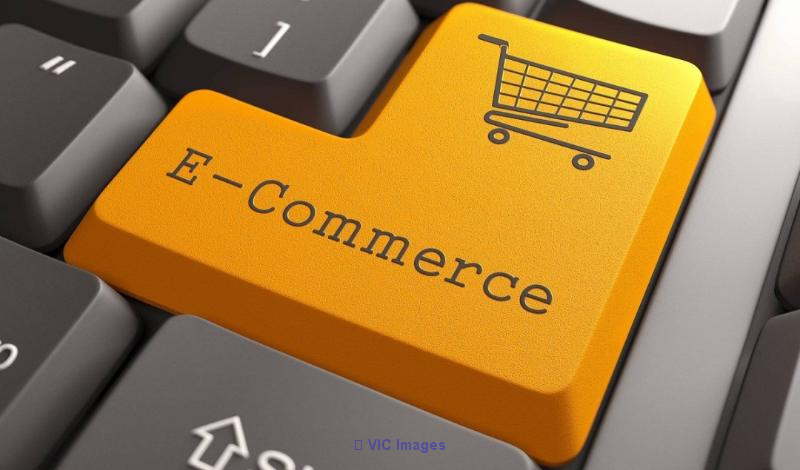 Ecommerce Web Designing Services in Canada