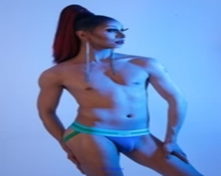 Find the Perfect Male Harness Gay in Canada 