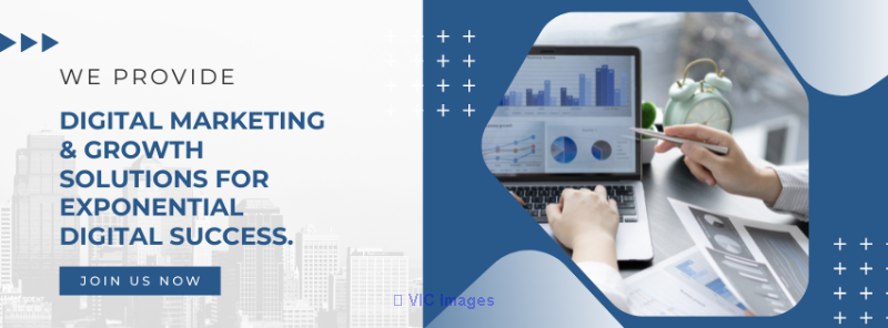 Elevating Your Digital Presence: Unveiling the Power of Rosa eSolution
