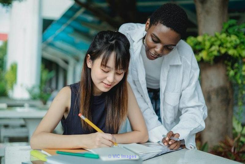 Stop Roaming Around For Assignment Help! Hire Our Experts Today