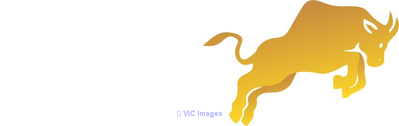 Best Stocks Trading Platform