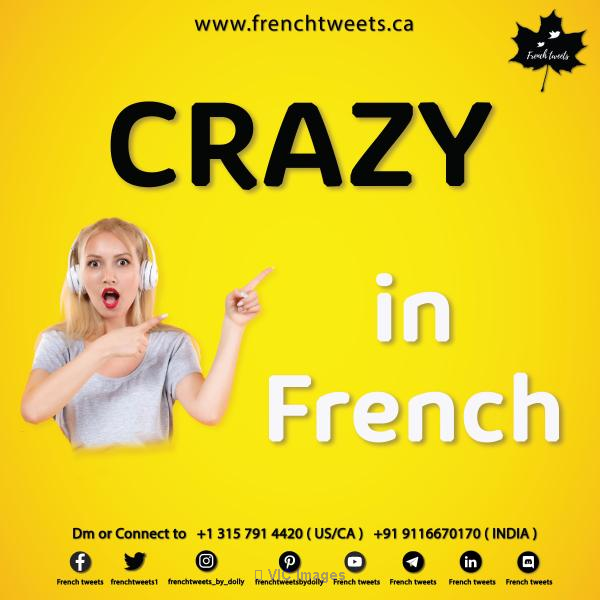 Preparation for TEF Canada online | French Tweets