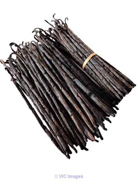Madagascar Bourbon Extract Grade-B Vanilla Beans
