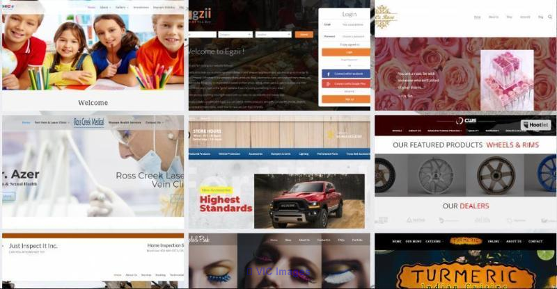 Mobile Application Dev (Native & Cross platform), Web Application Dev