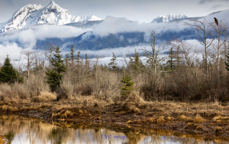 Transform Your Space with Stunning Scenery Canvas Prints in North Vanc