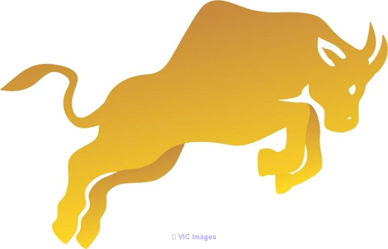 Best Stocks Trading Platform