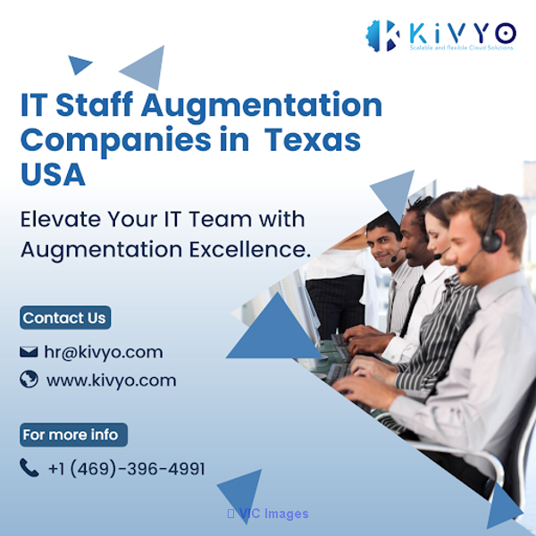 IT Staff Augmentation Companies in  Texas USA