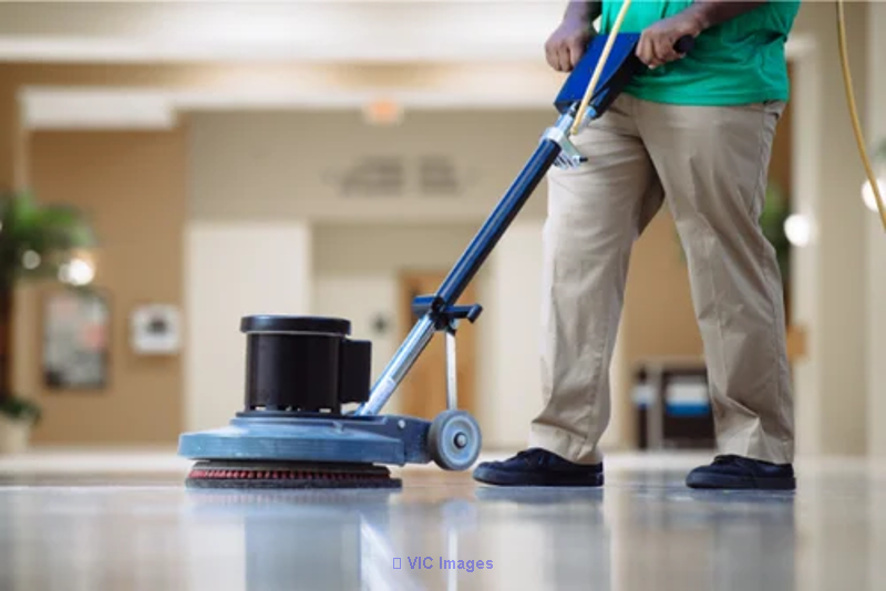  "Revive and Refresh: Unveiling Expert Area Rug Cleaning Services"