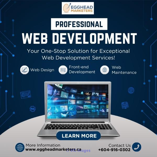 Best Ontario Website Developers - Egghead Marketers