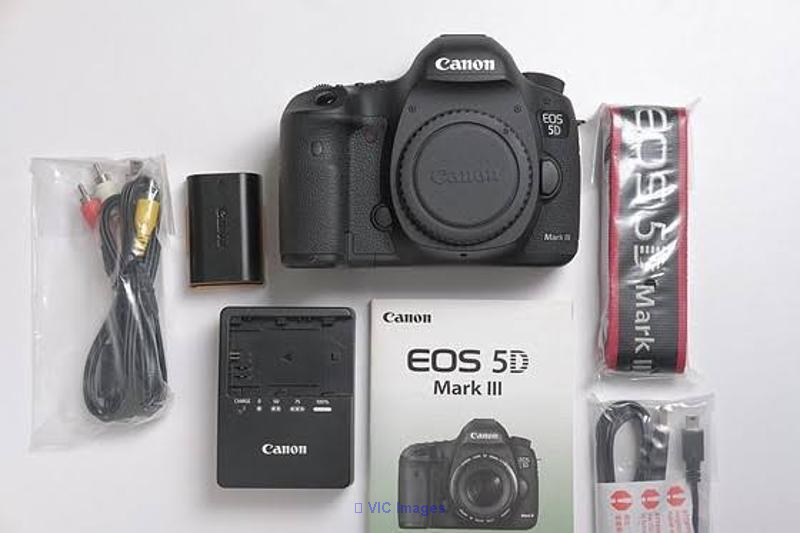Canon EOS 5D Mark III with EF 24-105mm IS lens