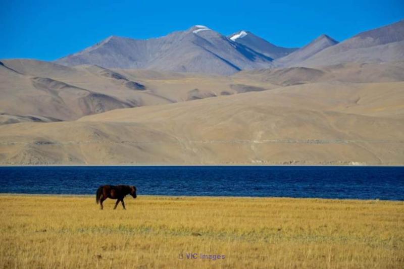 CHEAPEST LADAKH TOUR PACKAGE FROM KOLKATA