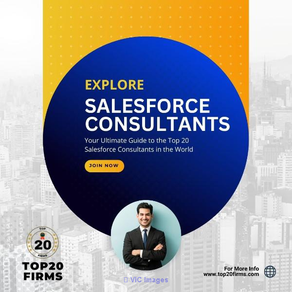 Top Salesforce Consulting Companies in the USA | TOP20FIRMS