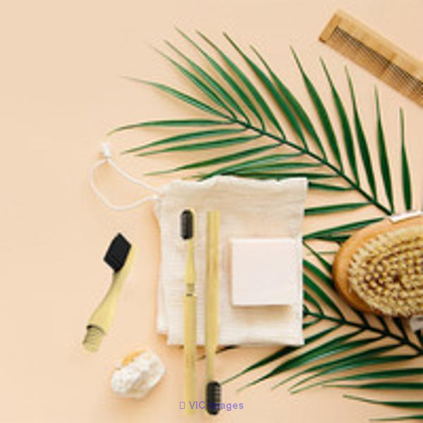 Bamboo Natural Folding Toothbrush with 4 Replaceable Brush Heads and R