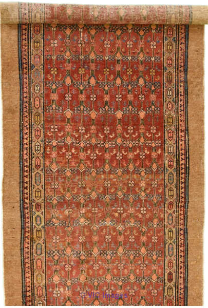 Modern Rugs in Toronto | Modern Carpets in Toronto - BluePaisley