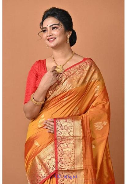 Buy the Newest Designer Sarees Online in Canada and USA!