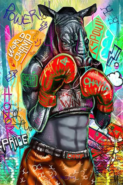 Rhinoceros Power Boxing Graffiti Pop Street
