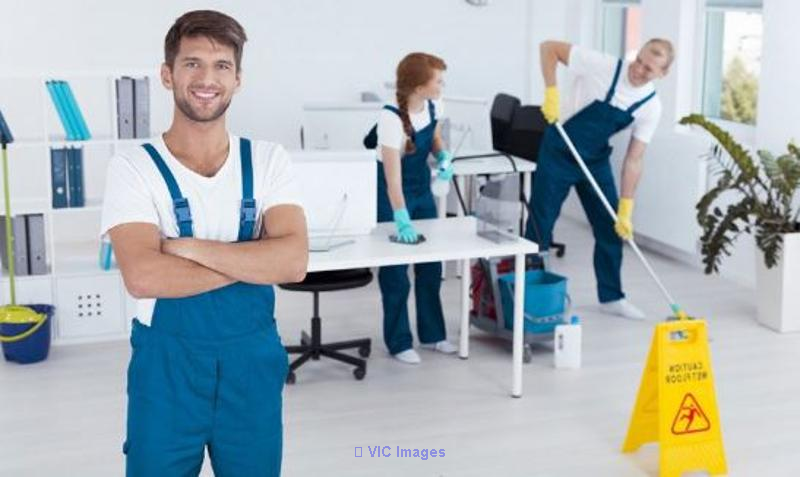 Premier Carpet Cleaner Rental