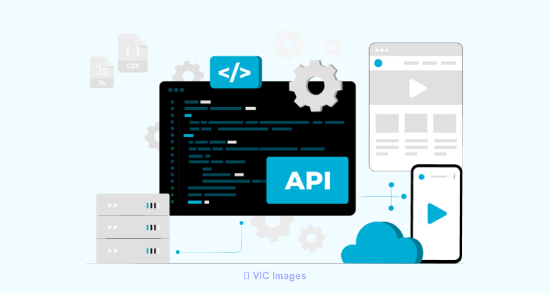 Transform your business with Custom Web App Solutions