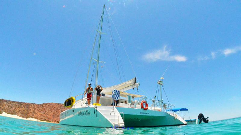 Book a Private sailing catamaran in Cabo