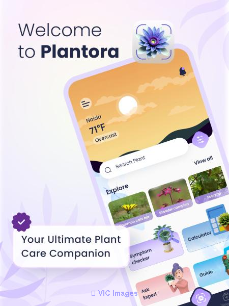 The Plant Identifier App with Best Plant Care Guides- Plantora