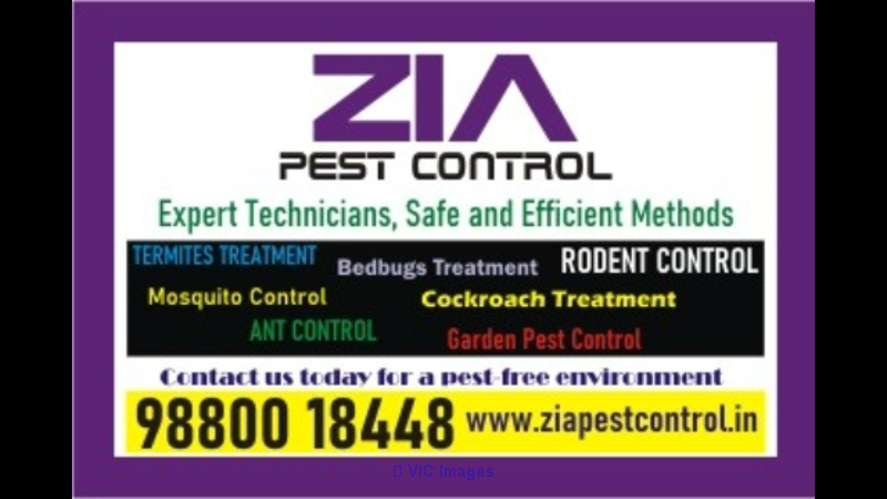 Bedbug pest control for Paying Guest | Restaurant | Lodge|  | 1851