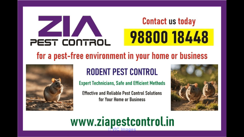 Rodent control services | Service price starts from Rs.999/- only | 18