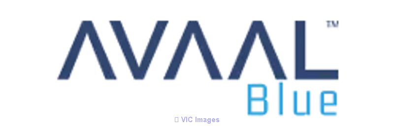 Choose AVAAL Blue or Blue+ Fuel card For Your Business Needs