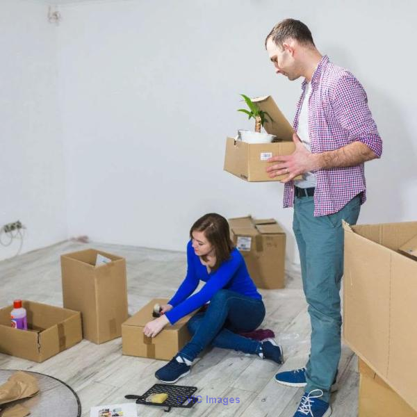 Kapoor Moving Services