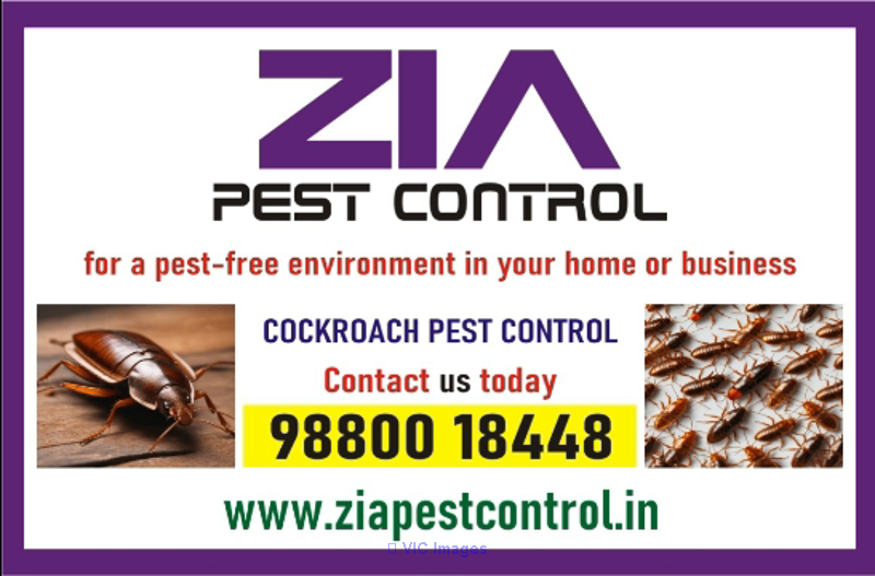 Zia pest control service | Best service providedin  Bangalore | 1962