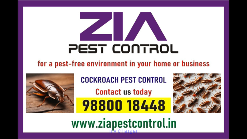 Zia pest control service | School Residence and office Bangalore | 196