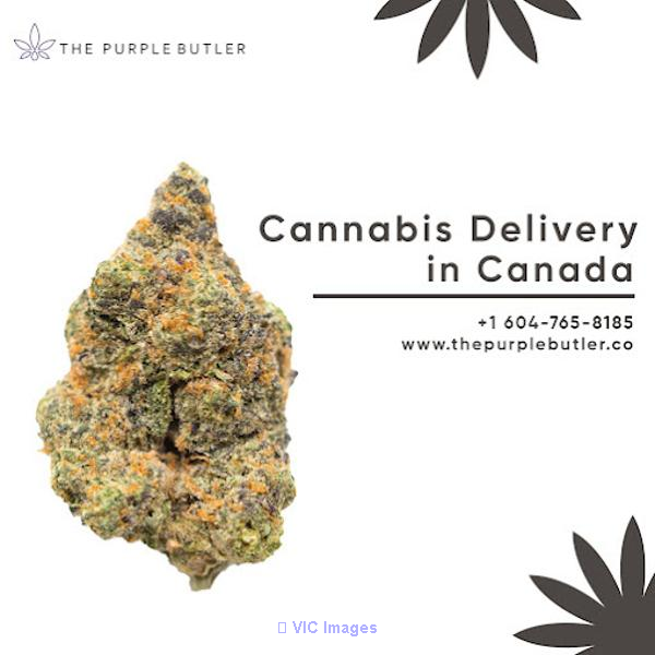 Best Craft Weed Canada