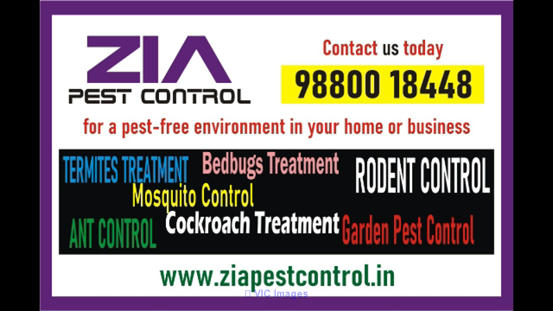 Zia Pest control service | Rodent service | Bedbug  | Termite | 1941