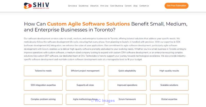 Best Custom Software Development Services in Toronto