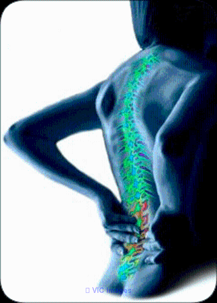 AROGYAM PURE HERBS KIT FOR JOINT PAINS