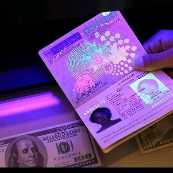 Buy Biometric Database Passports.Driving License, Id Cards Online.