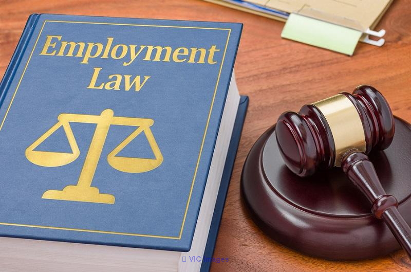 Employment Lawyer Toronto - Your Legal Representative