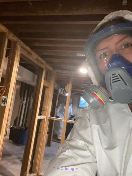 Expert Mold Removal Toronto: Safe, Effective Solutions for Your Home