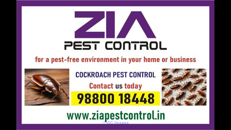 Cockroach Cleaning service | Upto 50% Off | Bangalore 4013