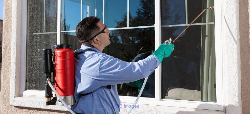 Pest Control Toronto