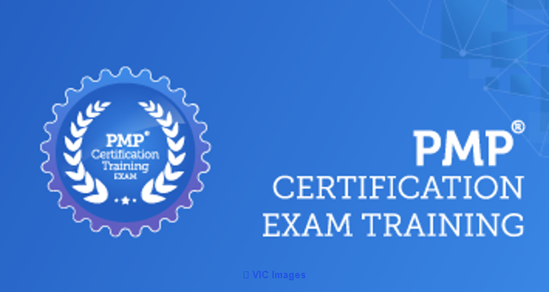 Achieve Project Management Excellence with PMP Certification