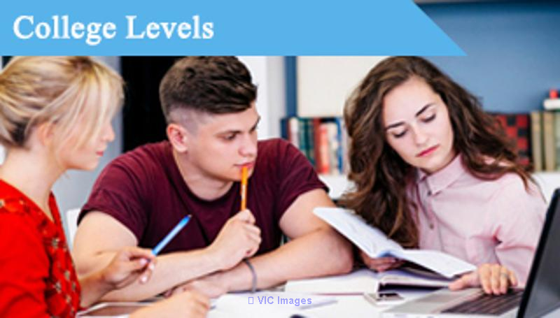Tuteur collégial à Montréal | Tutorat expert en mathématiques, science