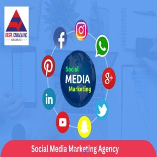 Professional Social Media Marketing Agency in Toronto