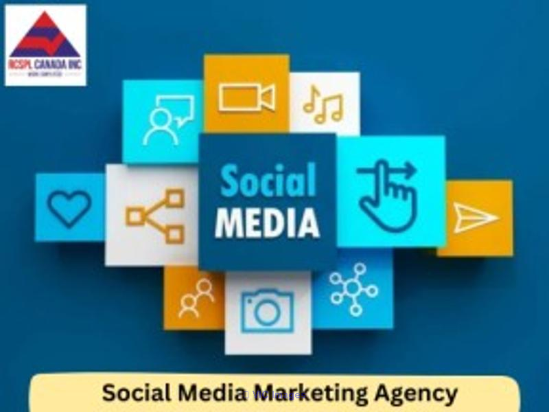 How a Toronto SMM Agency Can Help Local Businesses Grow