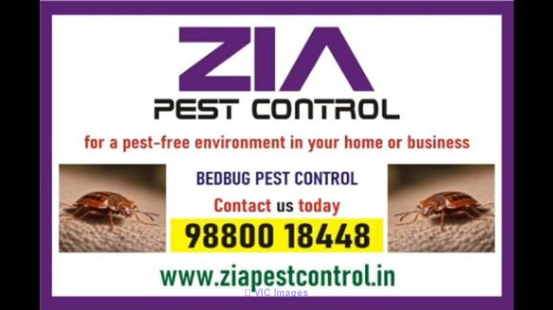 Bed Bug Control | Kinder Karden Schools Discount Up to 25 % Off  | 605
