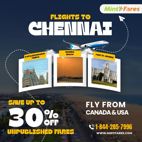 Flights from Toronto to Chennai – Book with Confidence!
