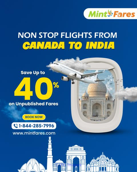  Cheap Calgary to Mumbai Flights – Book Now with Mintfares! 